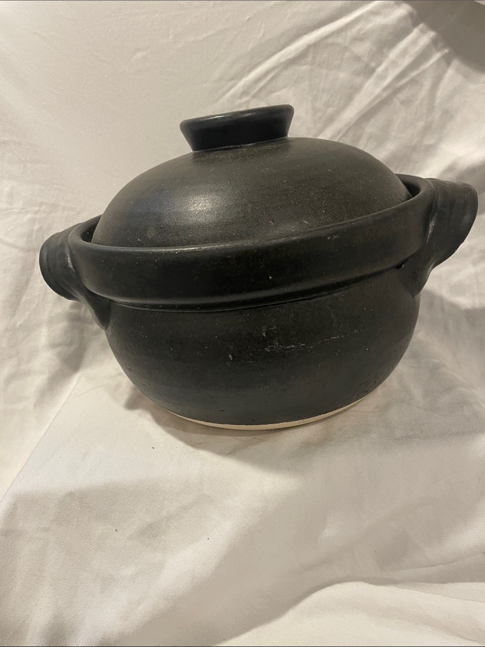 Japanese Donabe Clay Pot